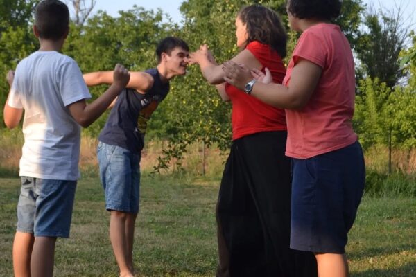 mlade osobe sa smetnjama u razvoju